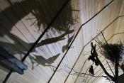 museum dhistoire naturelle blois 8-2025 2349